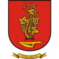 Könyvtári, Információs és Közösségi Hely